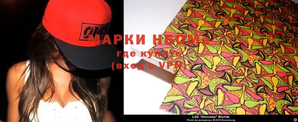 ПСИЛОЦИБИНОВЫЕ ГРИБЫ Алзамай